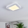 Plafonnier Siguna LED Blanc, 1 lumière