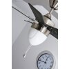 Ventilateur Globo MARVA Acier inoxydable, Gris, Nickel mat, Blanc, 1 lumière