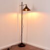 Lampadaire Gudem Noir doré, 1 lumière