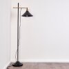 Lampadaire Gudem Noir doré, 1 lumière