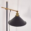 Lampadaire Gudem Noir doré, 1 lumière