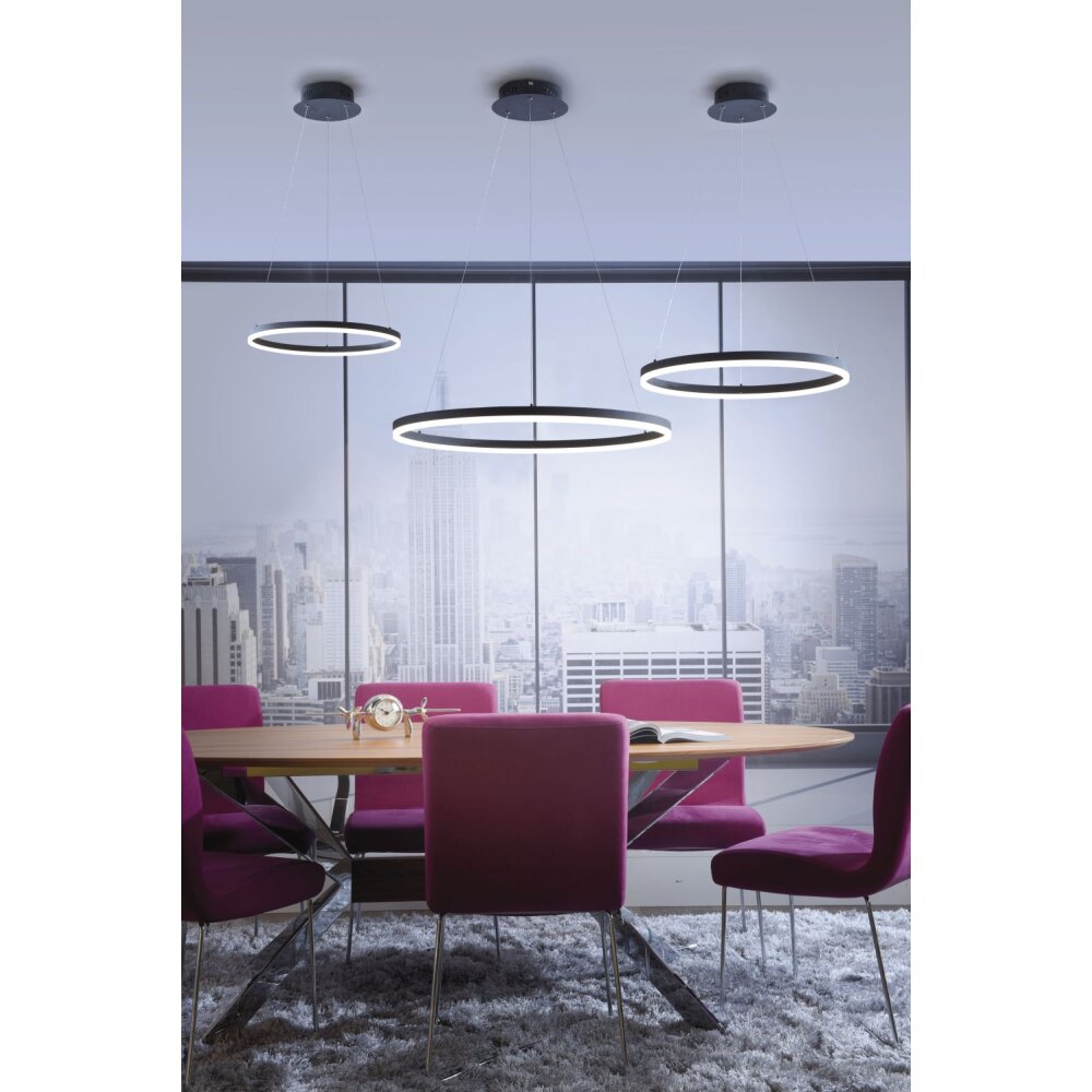 Suspension Paul Neuhaus TITUS LED Anthracite, 1 lumière main product photo