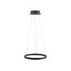 Suspension Paul Neuhaus TITUS LED Anthracite, 1 lumière