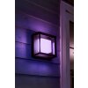 Applique murale Philips Hue Ambiance White & Color Econic LED Noir, 1 lumière, Changeur de couleurs