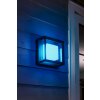 Applique murale Philips Hue Ambiance White & Color Econic LED Noir, 1 lumière, Changeur de couleurs