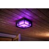 Applique murale Philips Hue Ambiance White & Color Econic LED Noir, 1 lumière, Changeur de couleurs