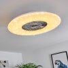 Ventilateur de plafond Petrovac LED Chrome, Blanc, 1 lumière, Télécommandes