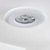 Ventilateur de plafond Petrovac LED Chrome, Blanc, 1 lumière, Télécommandes