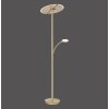 Lampadaire Paul Neuhaus ARTUR LED Laiton, 1 lumière