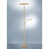 Lampadaire Paul Neuhaus ARTUR LED Laiton, 1 lumière