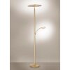 Lampadaire Paul Neuhaus ARTUR LED Laiton, 1 lumière