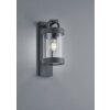 Applique murale d'extérieur Trio Leuchten SAMBESI Anthracite, 1 lumière