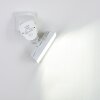 Applique murale d'extérieur Loit LED Blanc, 1 lumière, Détecteur de mouvement