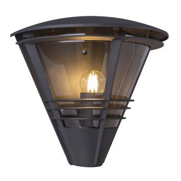 Lampe d'extérieur GLOBO Flux Anthracite, 1 lumière