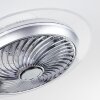 Ventilateur de plafond Tamworth LED Argenté, Transparent, 1 lumière, Télécommandes