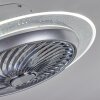 Ventilateur de plafond Tamworth LED Argenté, Transparent, 1 lumière, Télécommandes