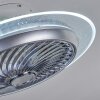 Ventilateur de plafond Tamworth LED Argenté, Transparent, 1 lumière, Télécommandes