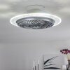 Ventilateur de plafond Tamworth LED Argenté, Transparent, 1 lumière, Télécommandes