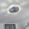 Ventilateur de plafond Tamworth LED Argenté, Transparent, 1 lumière, Télécommandes