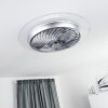 Ventilateur de plafond Tamworth LED Argenté, Transparent, 1 lumière, Télécommandes