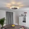 Ventilateur de plafond Tamworth LED Argenté, Transparent, 1 lumière, Télécommandes