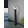 Lampadaire EGLO FIUMICINO LED Noir, 1 lumière