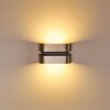 Applique murale d'extérieur Kolding LED Acier inoxydable, Noir, 1 lumière
