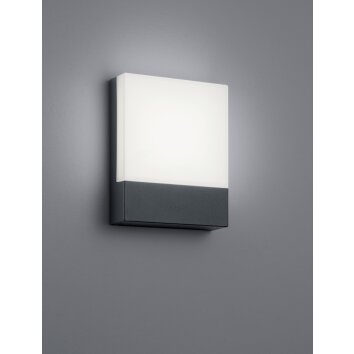 Applique murale d'extérieur Trio PECOS LED Anthracite, 1 lumière