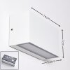 Applique murale d'extérieur Duluth LED Blanc, 1 lumière