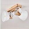 Plafonnier Orny Blanc, 2 lumières