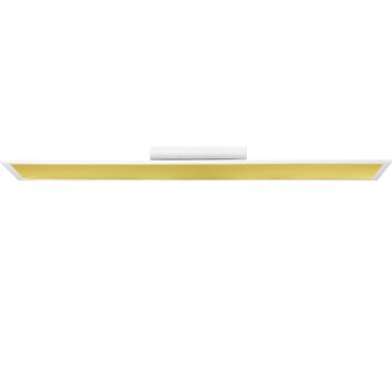 Plafonnier Brilliant Abie LED Blanc, 1 lumière, Télécommandes