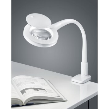 Applique murale Trio LUPO LED Blanc, 1 lumière