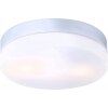 Plafonnier Globo VRANOS Acier inoxydable, Argenté, Blanc, 2 lumières