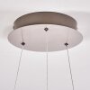 Suspension Pitasch LED Nickel mat, 1 lumière