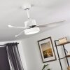 Ventilateur de plafond Doha LED Blanc, 1 lumière, Télécommandes