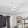 Ventilateur de plafond Doha LED Blanc, 1 lumière, Télécommandes