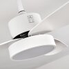 Ventilateur de plafond Doha LED Blanc, 1 lumière, Télécommandes