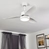 Ventilateur de plafond Doha LED Blanc, 1 lumière, Télécommandes