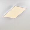 Plafonnier Salmi LED Aluminium, Blanc, 1 lumière, Télécommandes