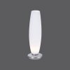 Lampe à poser Paul Neuhaus TYRA LED Acier inoxydable, 1 lumière