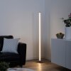 Lampadaire Leuchten-Direkt BELLA LED Acier inoxydable, 1 lumière