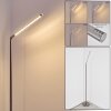 Lampadaire Deje LED Nickel mat, 1 lumière