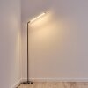 Lampadaire Deje LED Nickel mat, 1 lumière