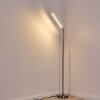 Lampadaire Deje LED Nickel mat, 1 lumière