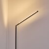 Lampadaire Deje LED Nickel mat, 1 lumière