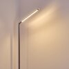 Lampadaire Deje LED Nickel mat, 1 lumière
