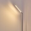 Lampadaire Deje LED Nickel mat, 1 lumière