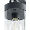 Borne lumineuse Trio Leuchten SAMBESI Anthracite, 1 lumière