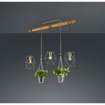 Suspension Trio Plant LED Brun foncé, Nickel mat, 3 lumières