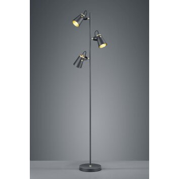 Lampadaire Trio EDWARD Noir, 3 lumières